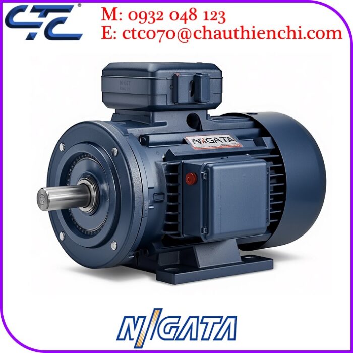 Động Cơ NIIGATA Chính Hãng Nhật